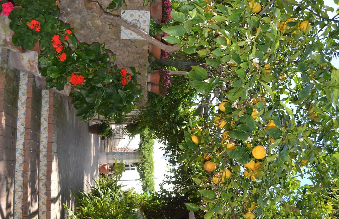 Piccolo Tirreno Hotel Residence-1